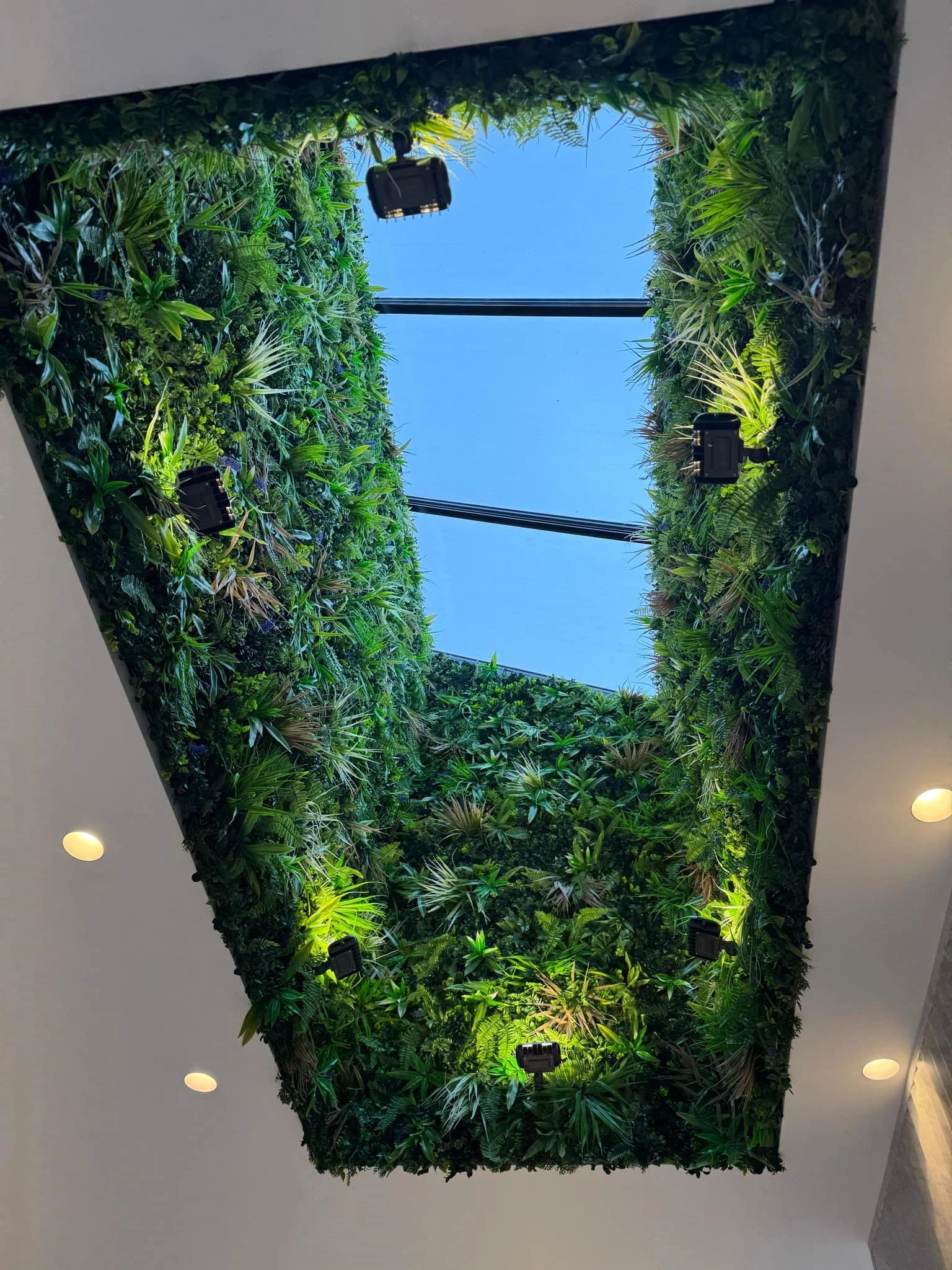Glass skylight repair and replacement